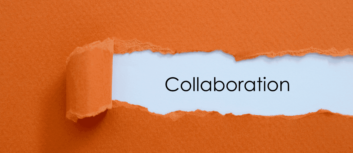International Partnerships
